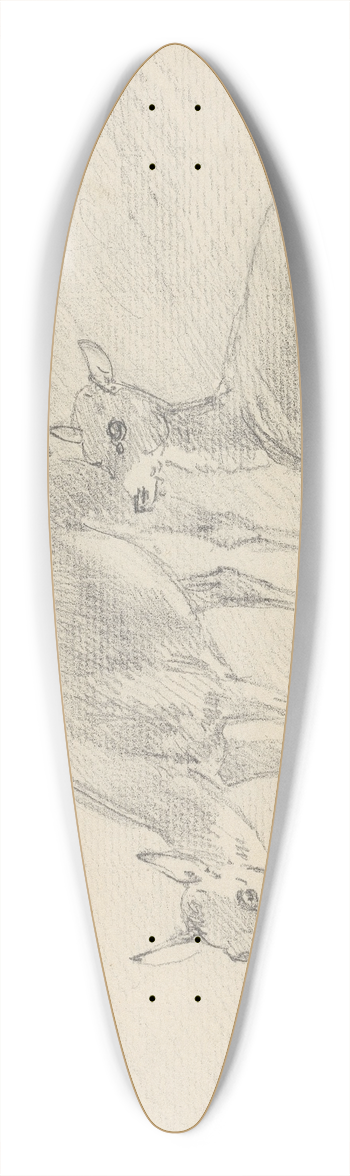 Sawrey Gilpin - Two Deer 39.3 inch art pintail longboard deck