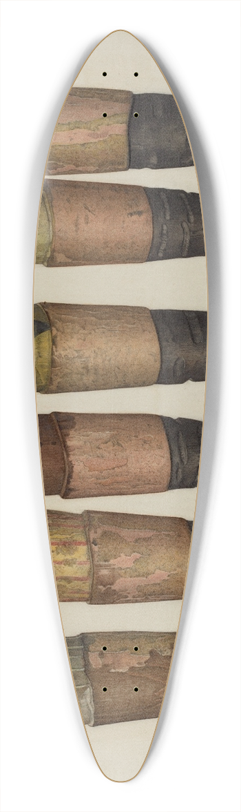 Selma Sandler - Pa. German Pins 39.3 inch art pintail longboard deck