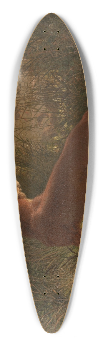 Siegwald Dahl - A Fox 39.3 inch art pintail longboard deck