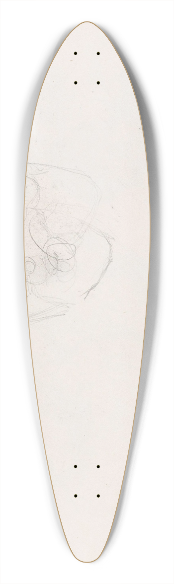 Signe Scheel - Kvinnehode 39.3 inch art pintail longboard deck