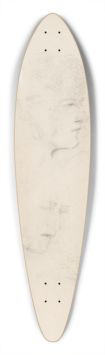 Signe Scheel - To profiler 39.3 inch art pintail longboard deck