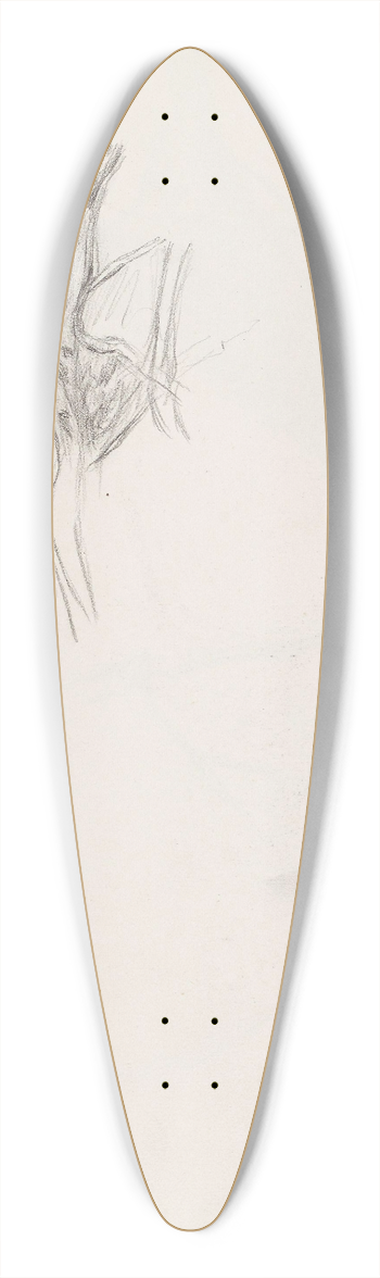 Signe Scheel - Trestudie 39.3 inch art pintail longboard deck