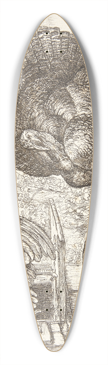 Simon de Vlieger - Fire kalkuner 39.3 inch art pintail longboard deck