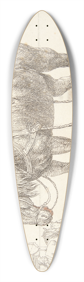 Simon de Vlieger - Hvilende arbejdshest 39.3 inch art pintail longboard deck