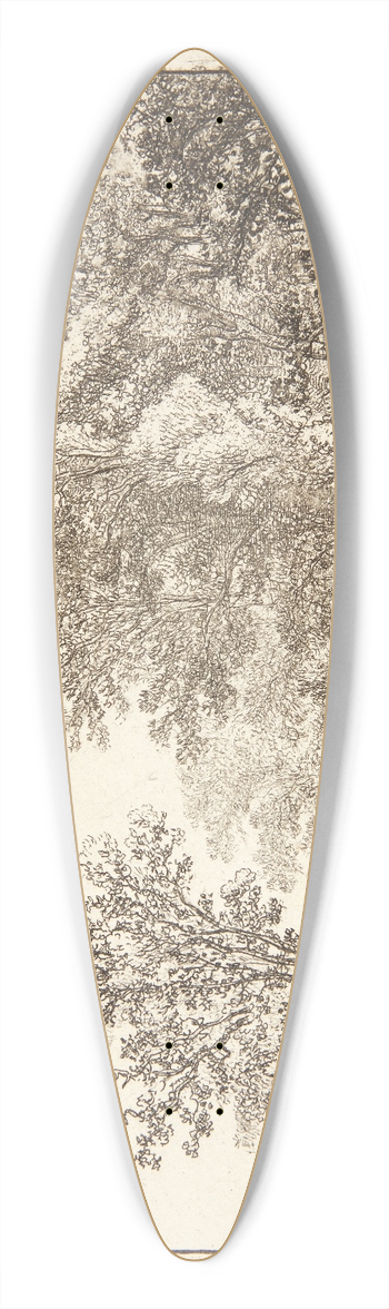 Simon de Vlieger - Trer ved en kanal 39.3 inch art pintail longboard deck