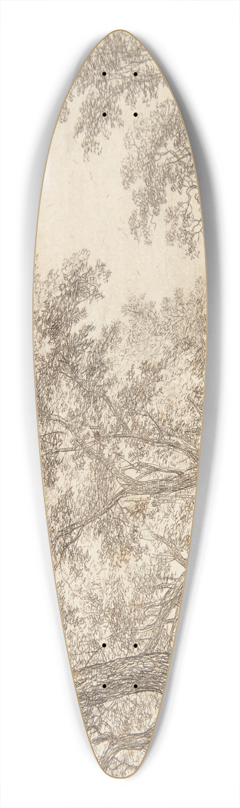 Simon de Vlieger - Vej i en skov 39.3 inch art pintail longboard deck