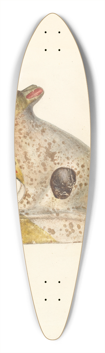 Stanley Mazur - Chalkware Rabbit 39.3 inch art pintail longboard deck