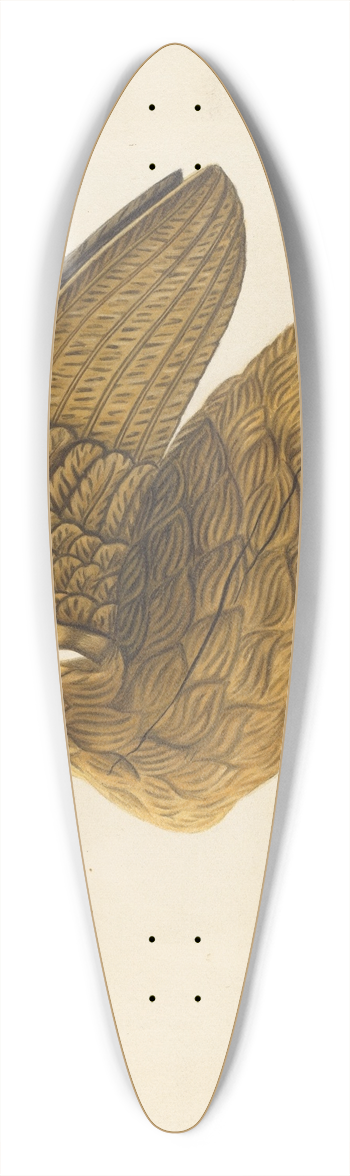 Sumner Merrill - Carved Goose 39.3 inch art pintail longboard deck