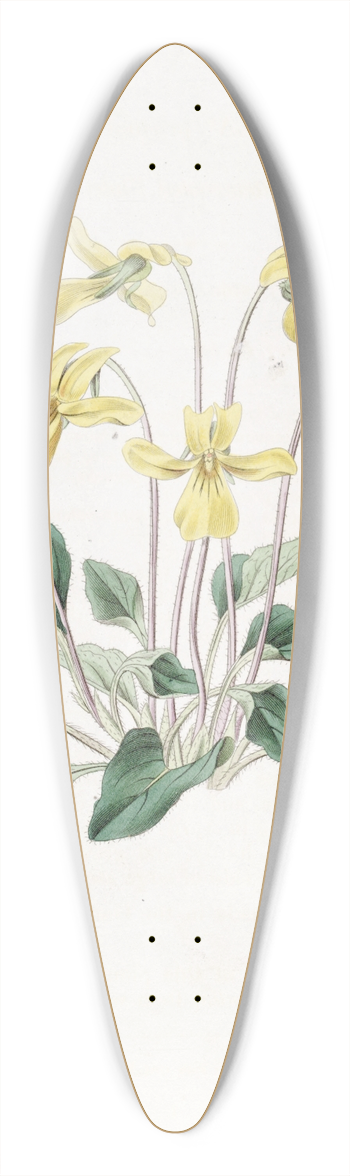 Sydenham Edwards - Bitten-rooted Violet 39.3 inch art pintail longboard deck