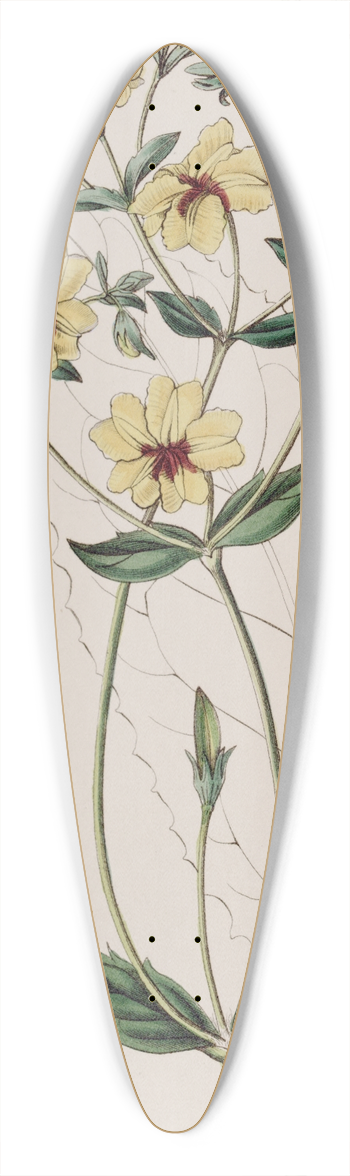 Sydenham Edwards - Broad-leaved Euthales 39.3 inch art pintail longboard deck