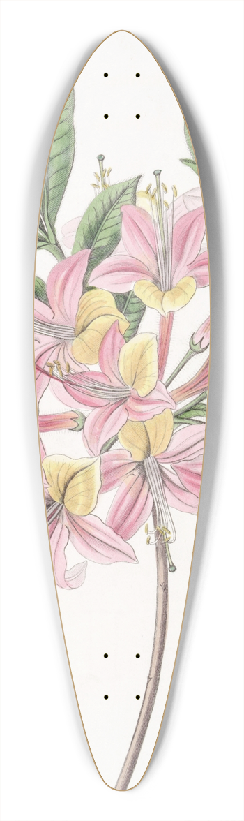 Sydenham Edwards - Changeable Pontic Azalea 39.3 inch art pintail longboard deck