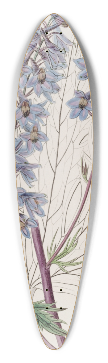 Sydenham Edwards - Dark-purple Variable Larkspur 39.3 inch art pintail longboard deck