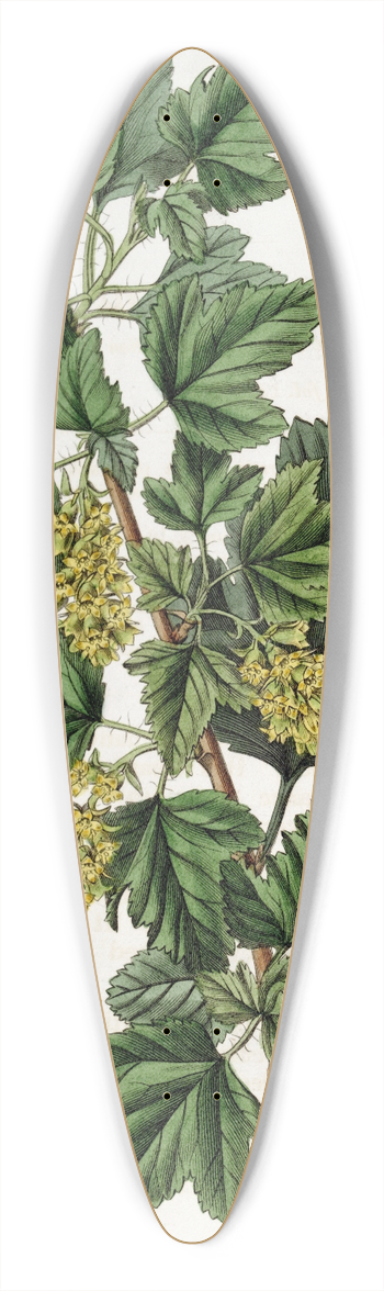 Sydenham Edwards - Dotted Currant 39.3 inch art pintail longboard deck