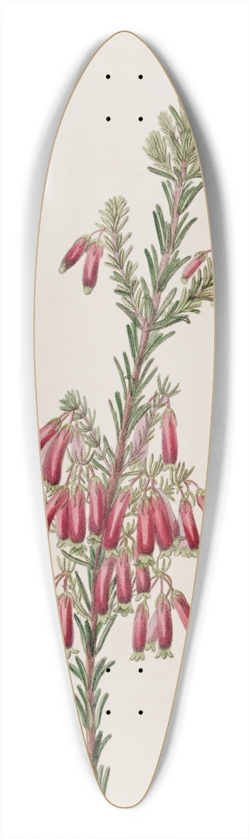 Sydenham Edwards - Green-tipped Heath 39.3 inch art pintail longboard deck