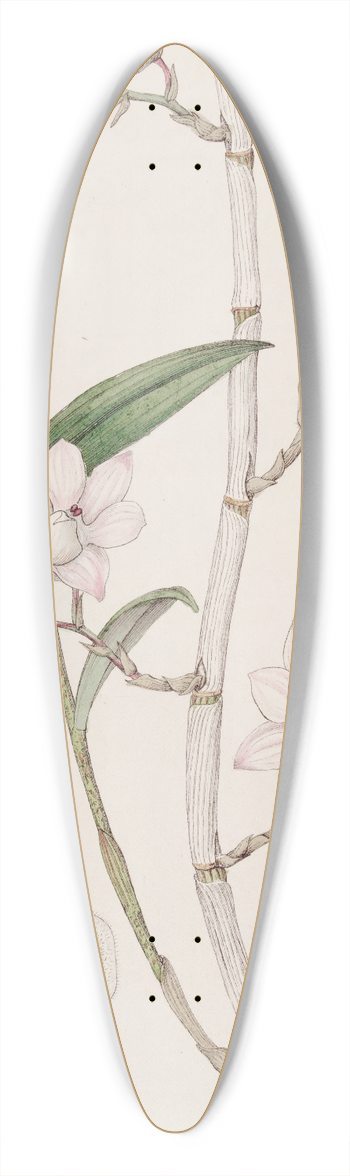 Sydenham Edwards - Hooked Dendrobe 39.3 inch art pintail longboard deck