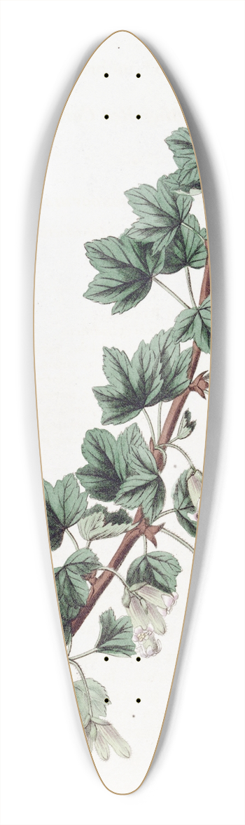 Sydenham Edwards - Intoxicating Red Currant 39.3 inch art pintail longboard deck