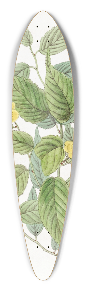 Sydenham Edwards - Japan Kerria 39.3 inch art pintail longboard deck