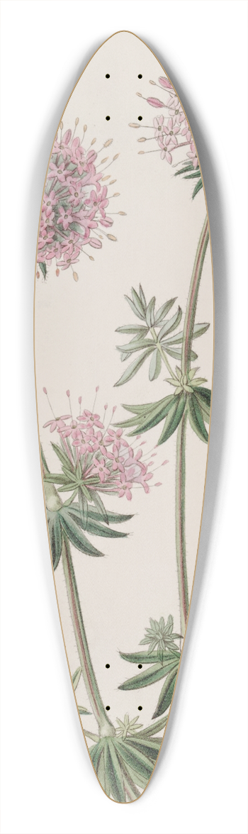 Sydenham Edwards - Long-styled Crucianella 39.3 inch art pintail longboard deck