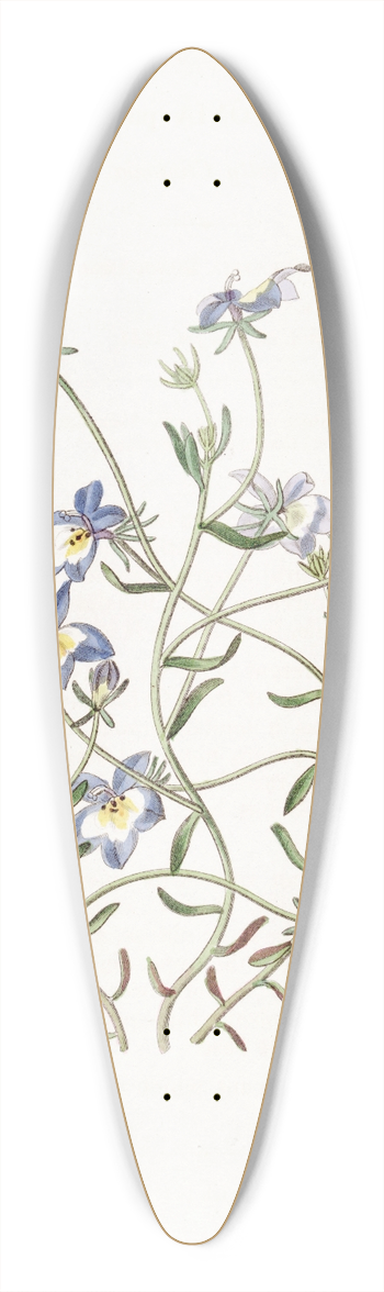 Sydenham Edwards - Pretty Clintonia 39.3 inch art pintail longboard deck