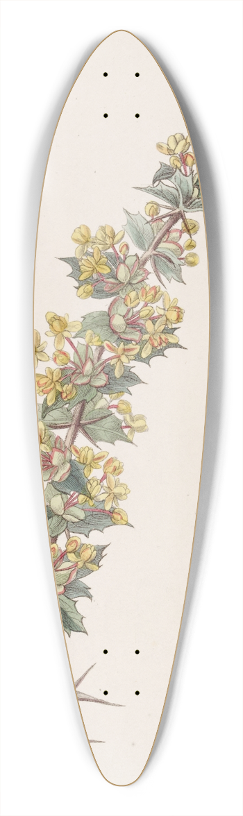 Sydenham Edwards - Ray-spined Berberry 39.3 inch art pintail longboard deck