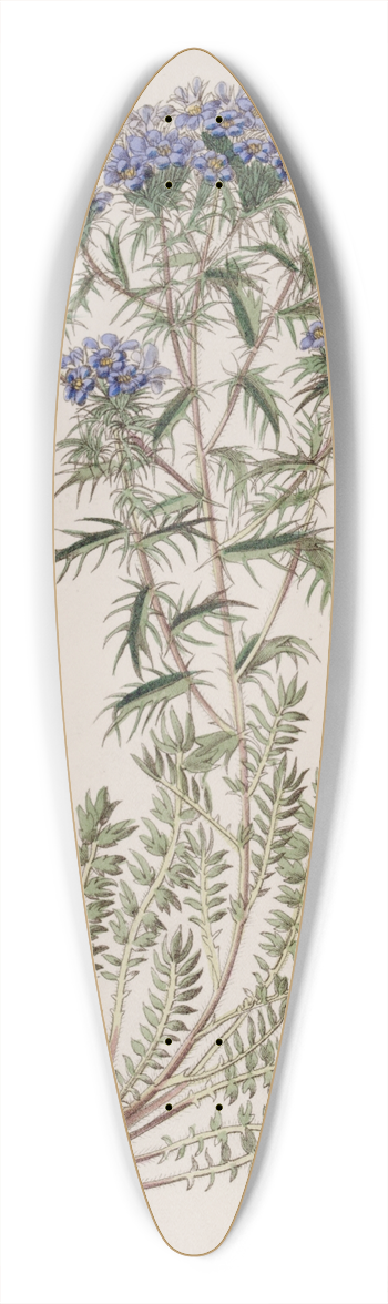 Sydenham Edwards - Spiny Triptilion 39.3 inch art pintail longboard deck