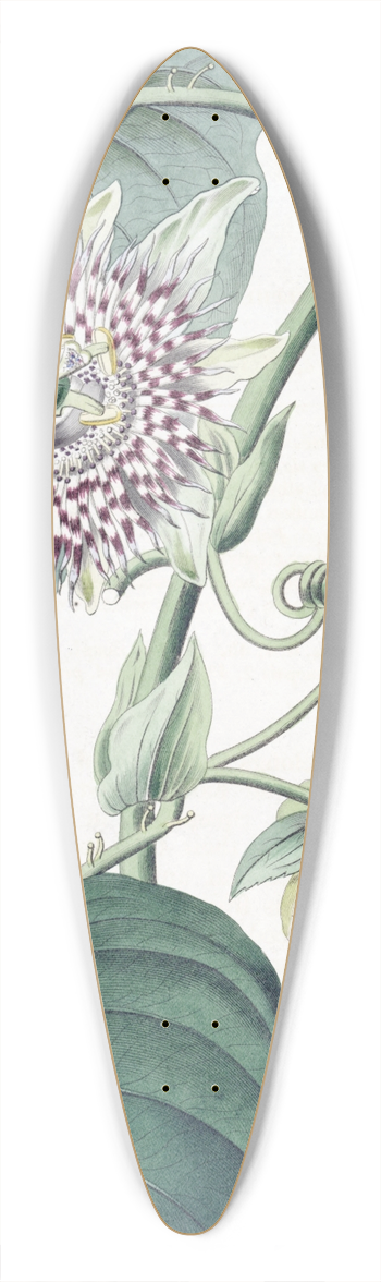Sydenham Edwards - Strapped Passion-flower 39.3 inch art pintail longboard deck