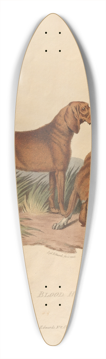 Sydenham Edwards - The Blood Hound 39.3 inch art pintail longboard deck