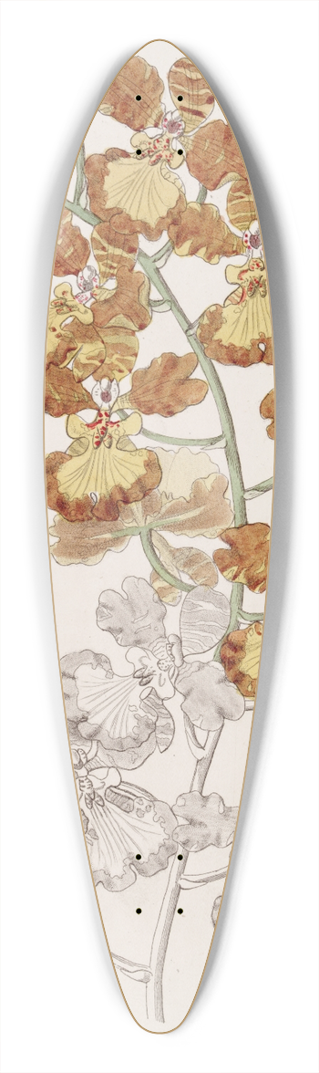 Sydenham Edwards - The Cropeared Oncid 39.3 inch art pintail longboard deck