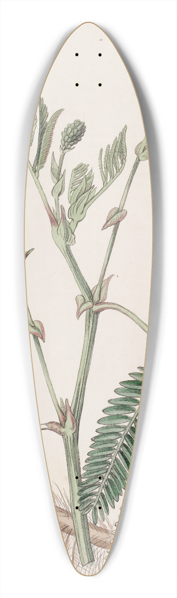 Sydenham Edwards - The Double-yellow Water-sensitive 39.3 inch art pintail longboard deck