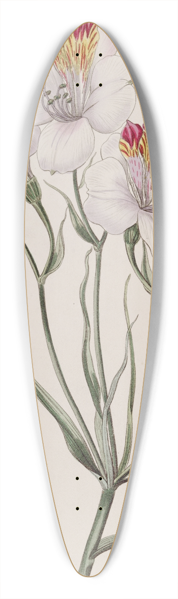 Sydenham Edwards - The Ligtu 39.3 inch art pintail longboard deck