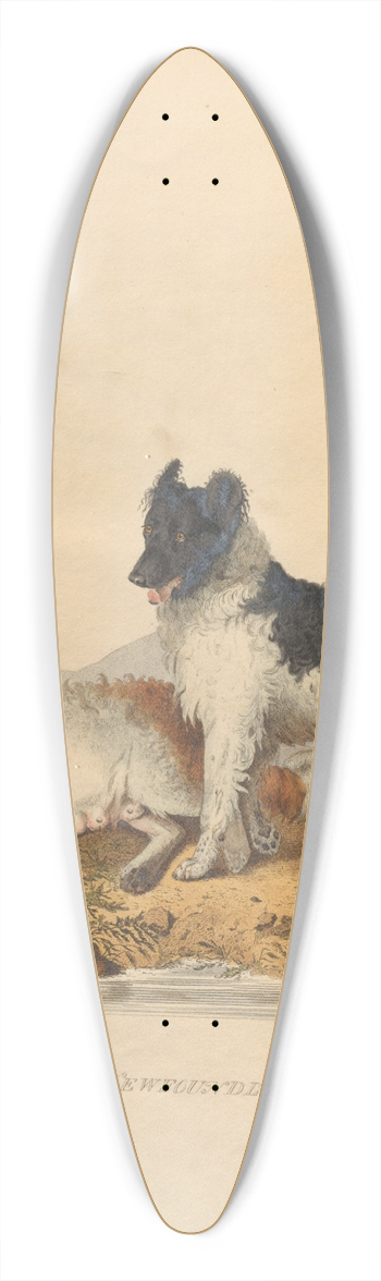 Sydenham Edwards - The Newfoundland dog 39.3 inch art pintail longboard deck