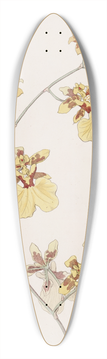 Sydenham Edwards - The Pelican Oncid 39.3 inch art pintail longboard deck