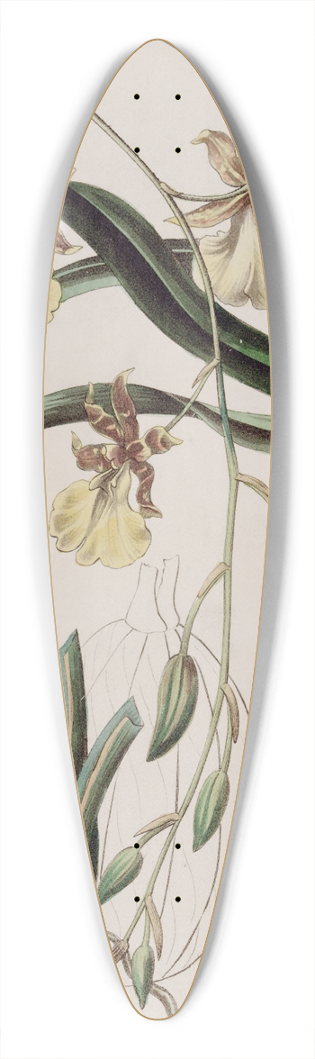 Sydenham Edwards - Thread-stalked Curvelip 39.3 inch art pintail longboard deck