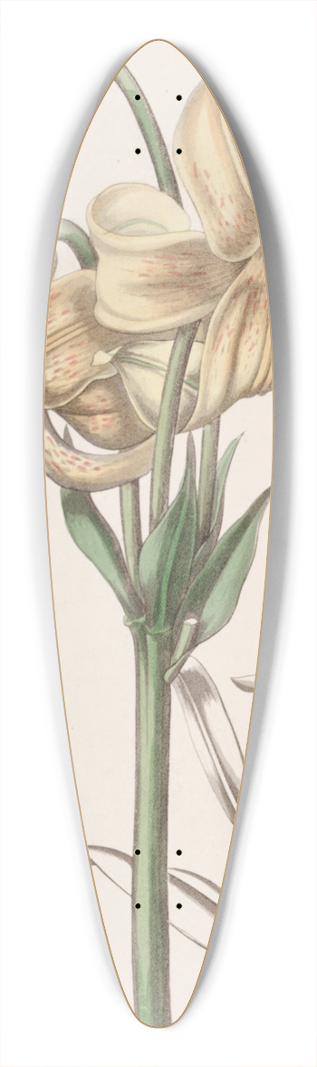 Sydenham Edwards - Yellow Japan Lily 39.3 inch art pintail longboard deck