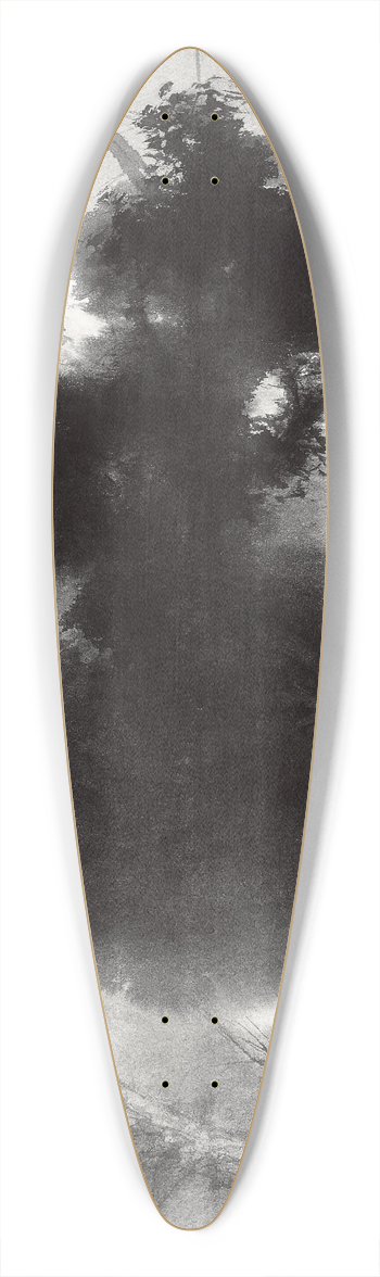 Takeuchi Seih - Birds at Roost 39.3 inch art pintail longboard deck