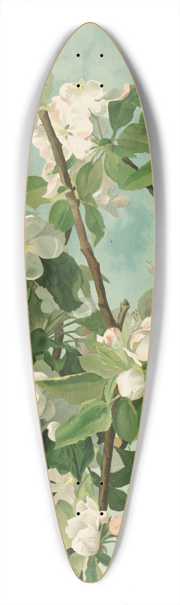 Thaddeus Welch - Apple Blossoms 39.3 inch art pintail longboard deck