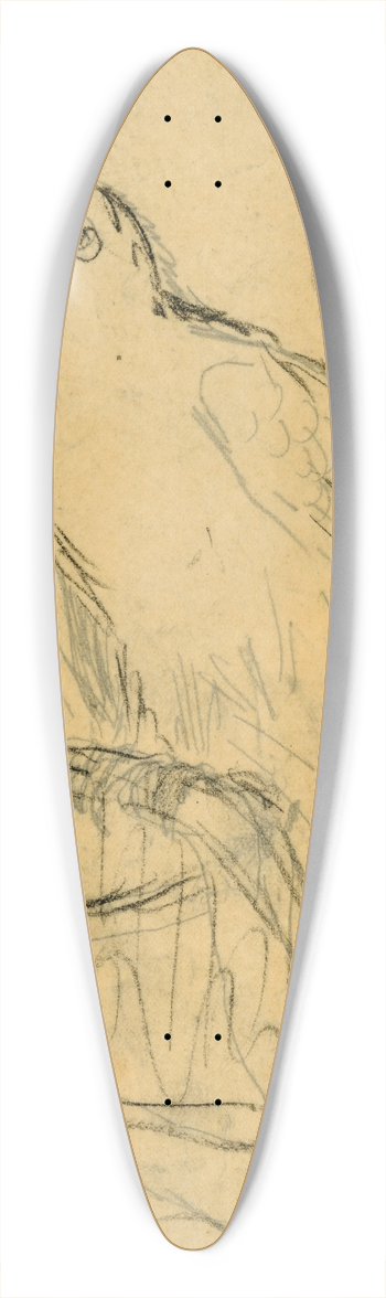 Theo van Hoytema - Roepende spreeuw 39.3 inch art pintail longboard deck