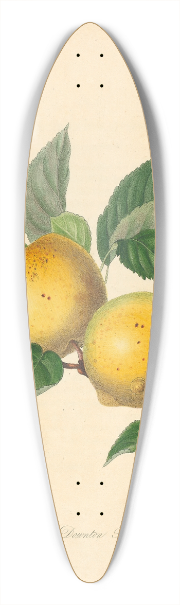 Thomas Andrew Knight - Downton Pippin 39.3 inch art pintail longboard deck