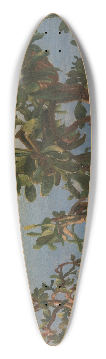 Thomas Fearnley - Cactus 39.3 inch art pintail longboard deck