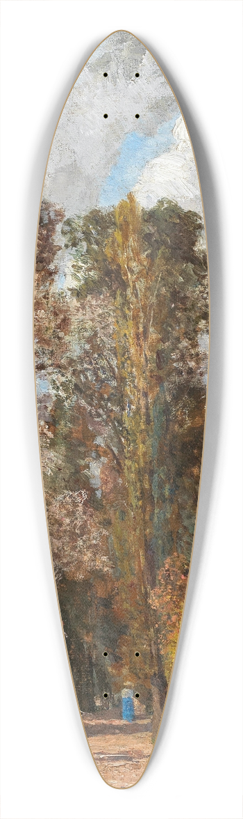 Tina Blau - Kleiner Prater 39.3 inch art pintail longboard deck
