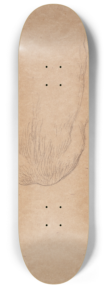 Gustav Klimt - Sitzender mnnlicher Rckenakt 8.25 inch art skate deck