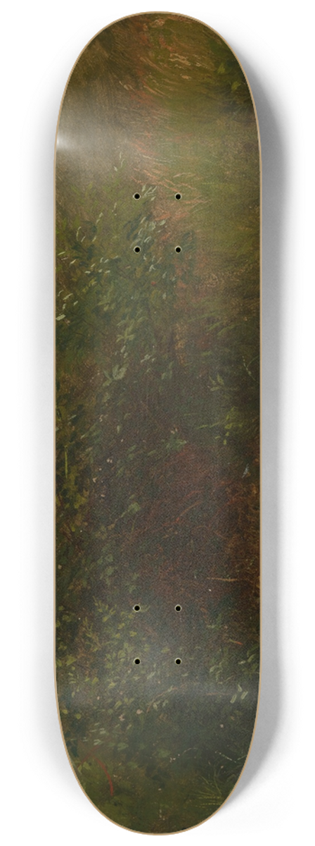 Gustav Osterroht - Blhender Schierling 8.25 inch art skate deck