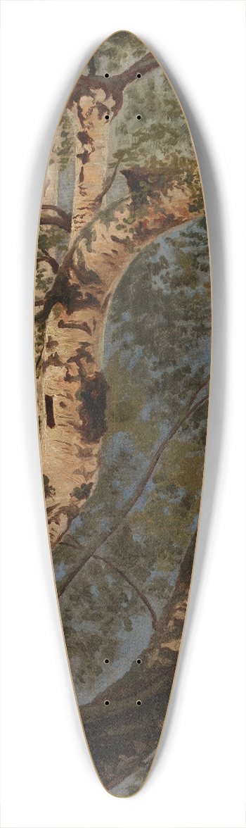Werner Holmberg - Birch Trunks, Rehearsal 39.3 inch art pintail longboard deck