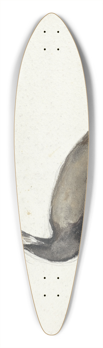Willem Roelofs - Aalscholver 39.3 inch art pintail longboard deck