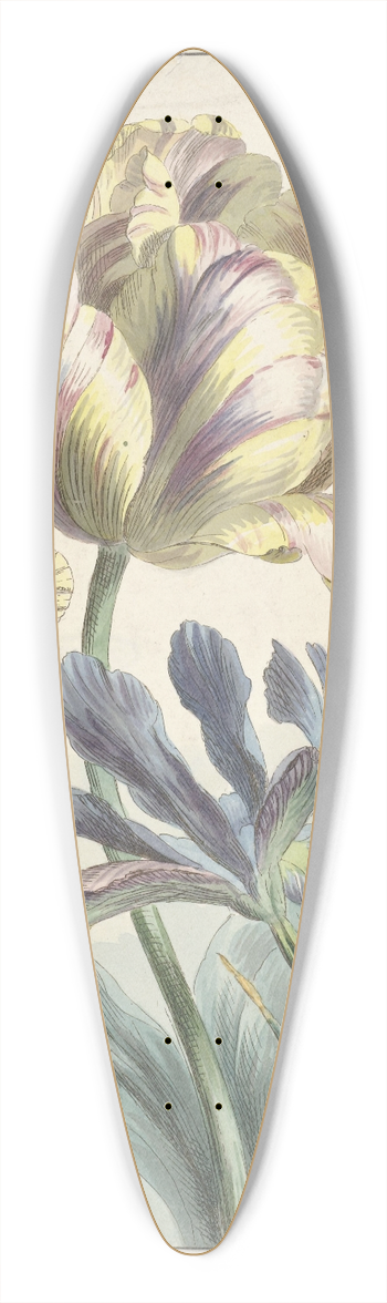 Willem van Leen - Tulp en iris 39.3 inch art pintail longboard deck