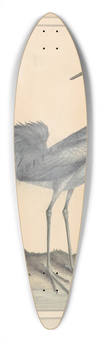 William Hayes - A Crane 39.3 inch art pintail longboard deck