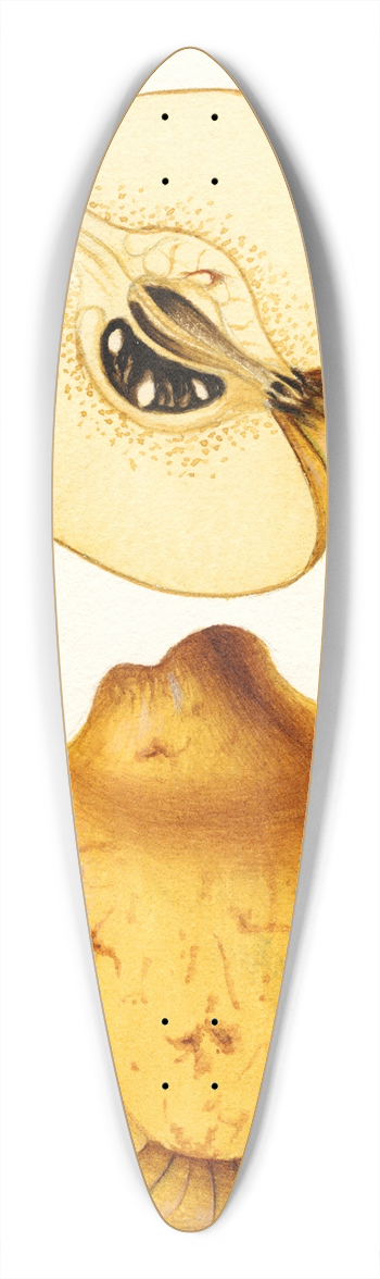 William Henry Prestele - Cydonia oblonga: Bourgeat 39.3 inch art pintail longboard deck