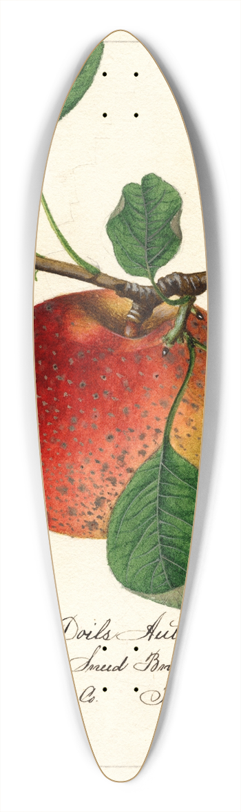 William Henry Prestele - Malus domestica: Doils Autumn 39.3 inch art pintail longboard deck