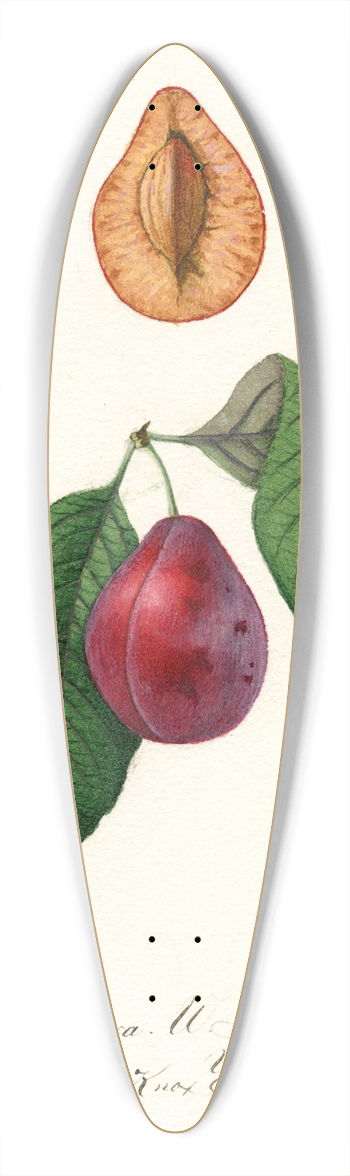 William Henry Prestele - Prunus domestica: Tucker 39.3 inch art pintail longboard deck