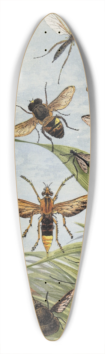 William Houghton - Diptera 39.3 inch art pintail longboard deck